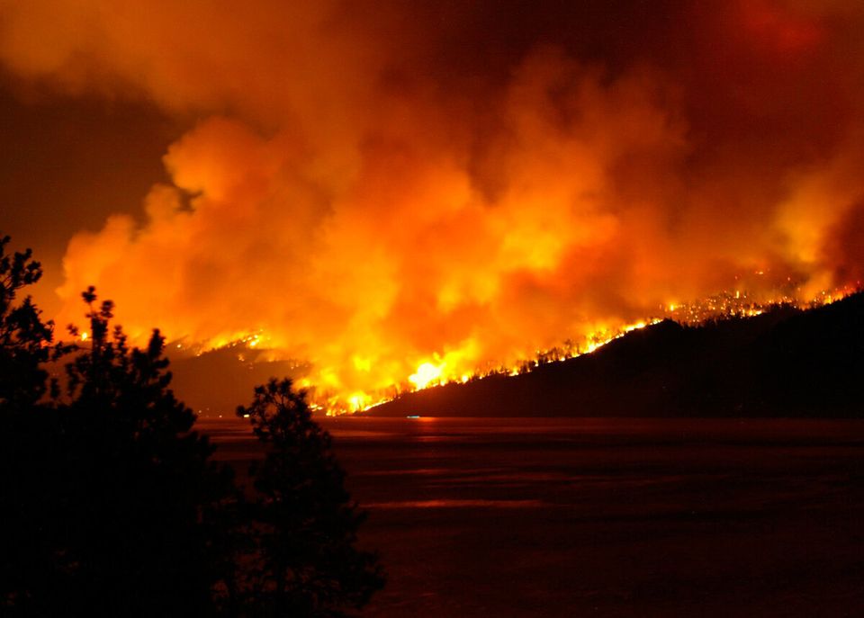 BC Forests on Fire thanks to Stand.Earth and Eco.Junkies