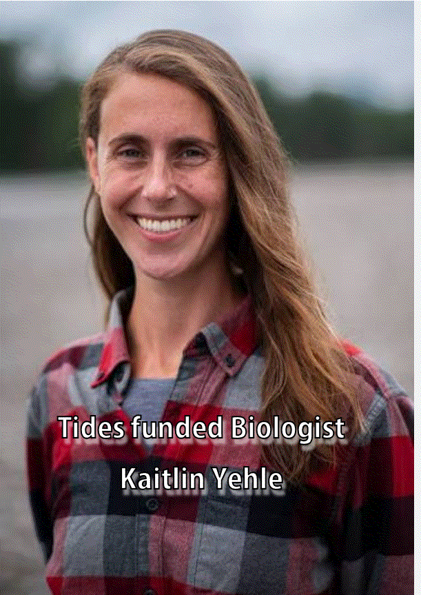 The “obstructionist” profile of Kait Yehle