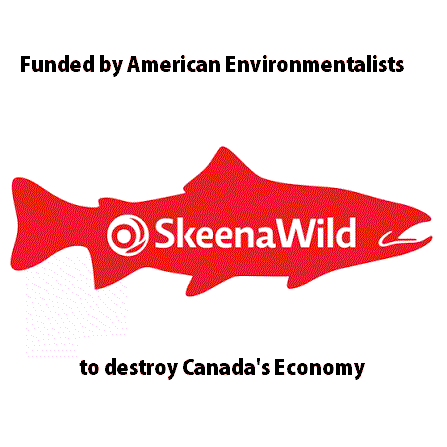 Skeenawild snowjob on Skeena Sockeye -Skeena Northcoast Fisheries Update.