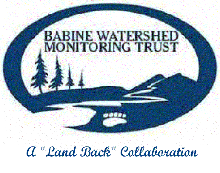 Babine Watershed Monitoring Trust