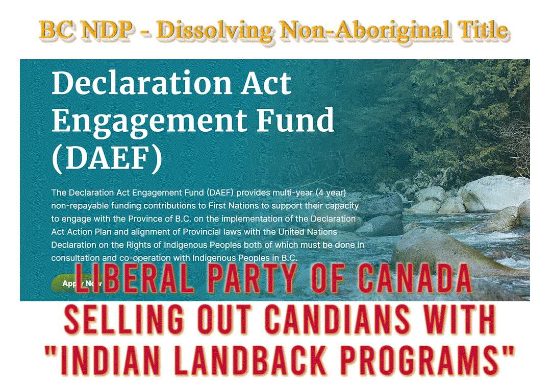 Declaration Act Engagement Fund (DAEF)