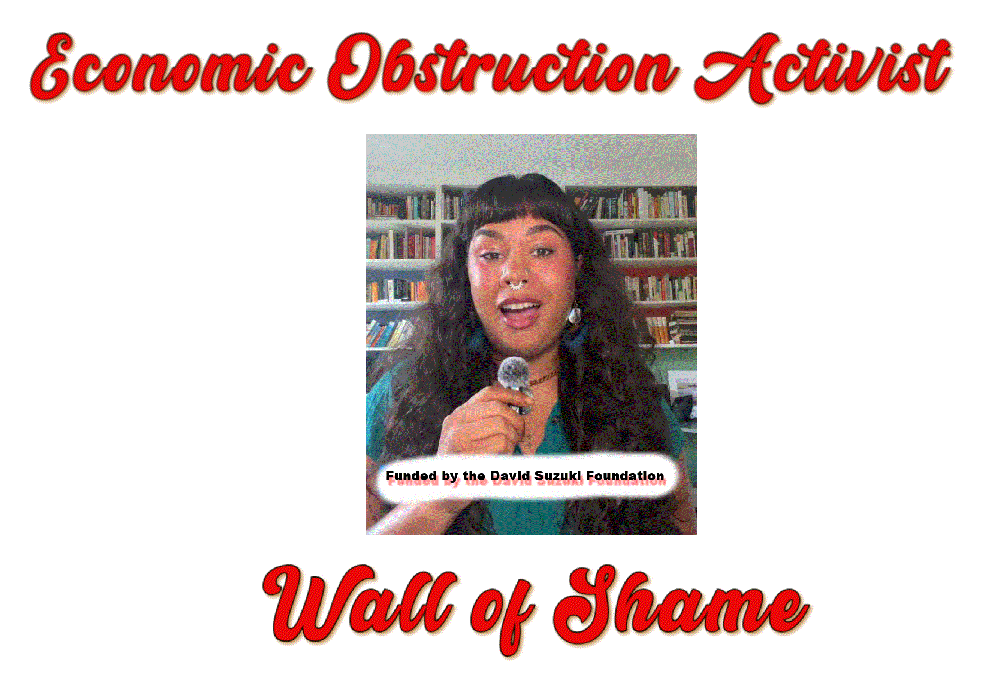 The “obstructionist” profile of Janelle Lapointe