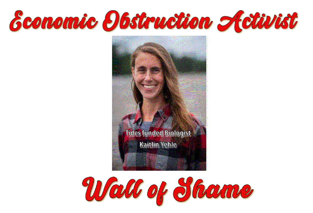 The “obstructionist” profile of Kait Yehle
