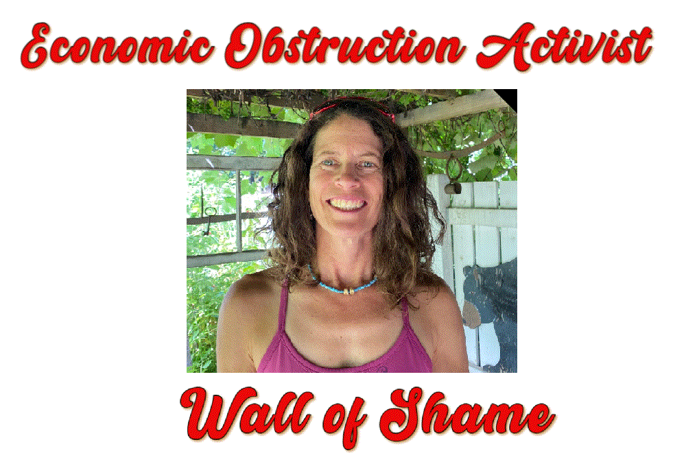 The “obstructionist” profile of Sarah Parks Newton