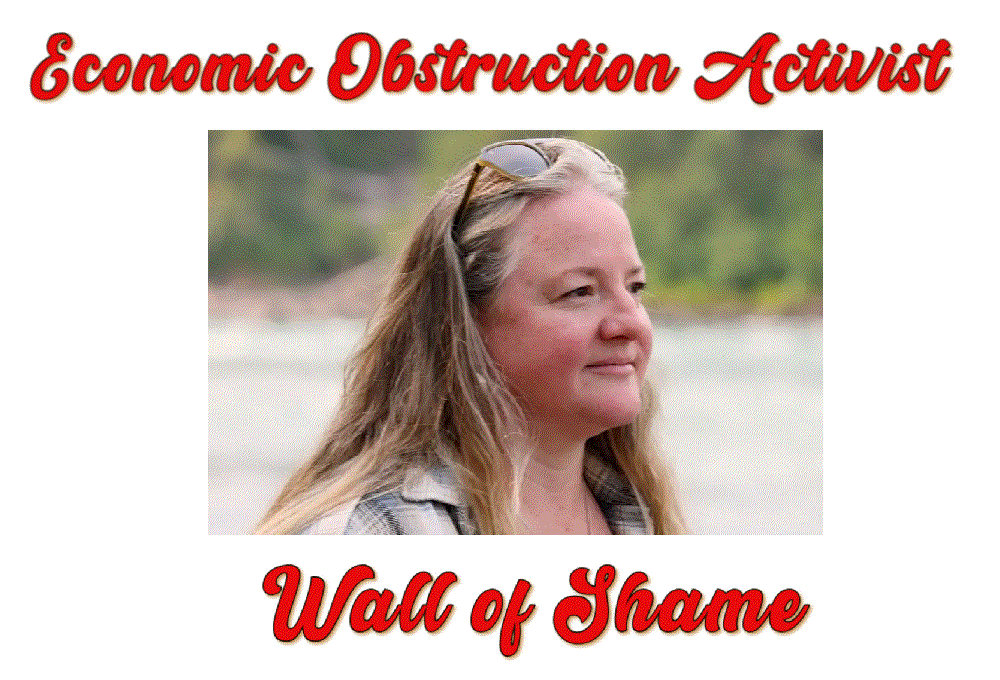 The “obstructionist” profile of Shannon McPhail